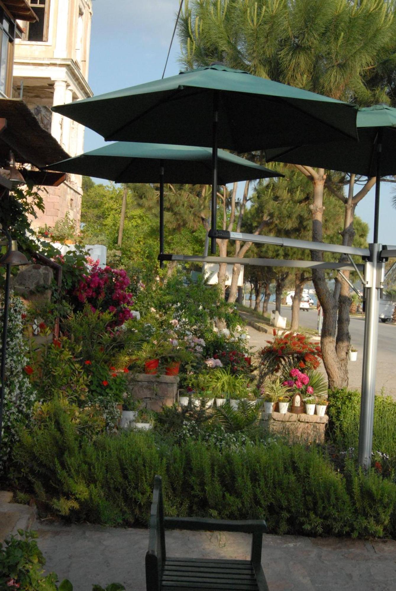Aliye Hanim Hotel Ayvalik Exterior photo